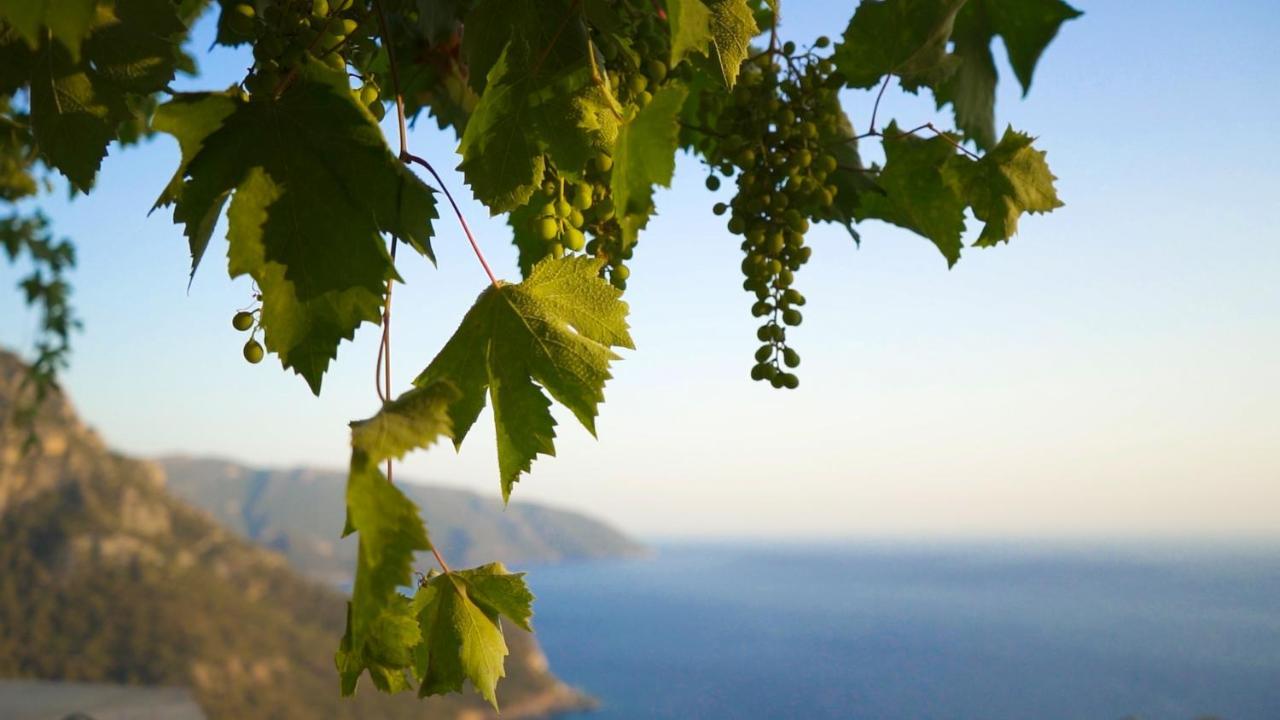 Kabak Mamma'S Pension Restaurant & Terrace Bar Fethiye Buitenkant foto